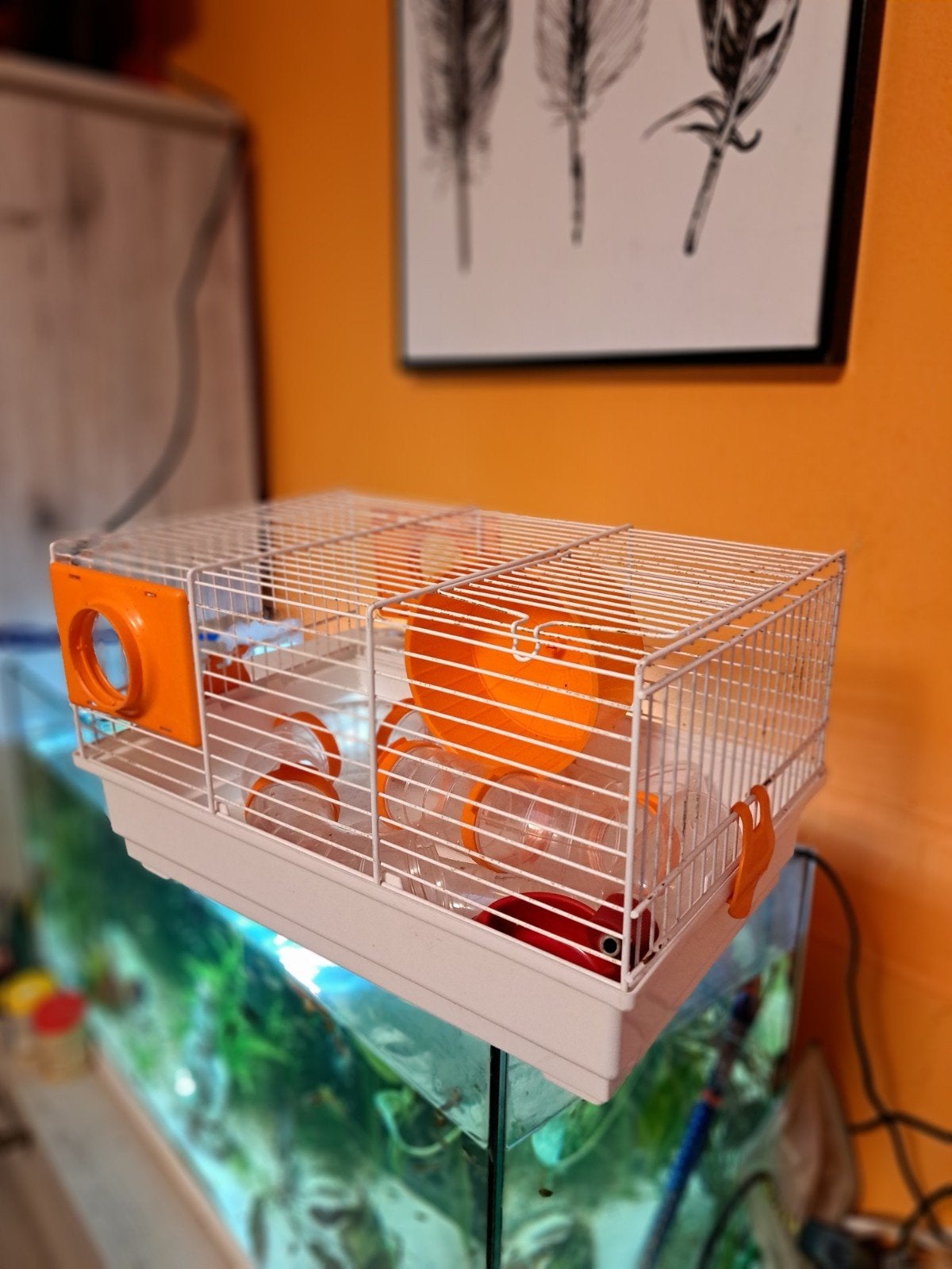 cage a hamster ou autre rongeur compléte voir photo, Animaux & Accessoires, Enlèvement, Cage, Hamster