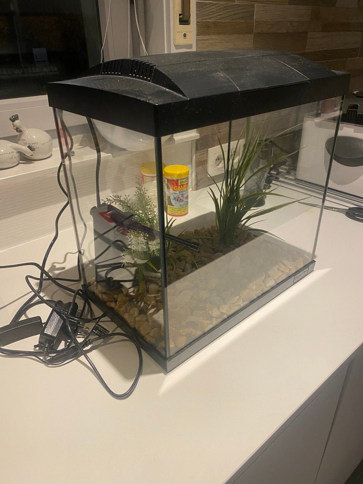 Aquarium, Dieren en Toebehoren, Ophalen, Zo goed als nieuw