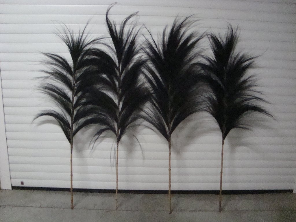 4 branches plumeaux / tiges déco, Ophalen, Gebruikt, Zwart