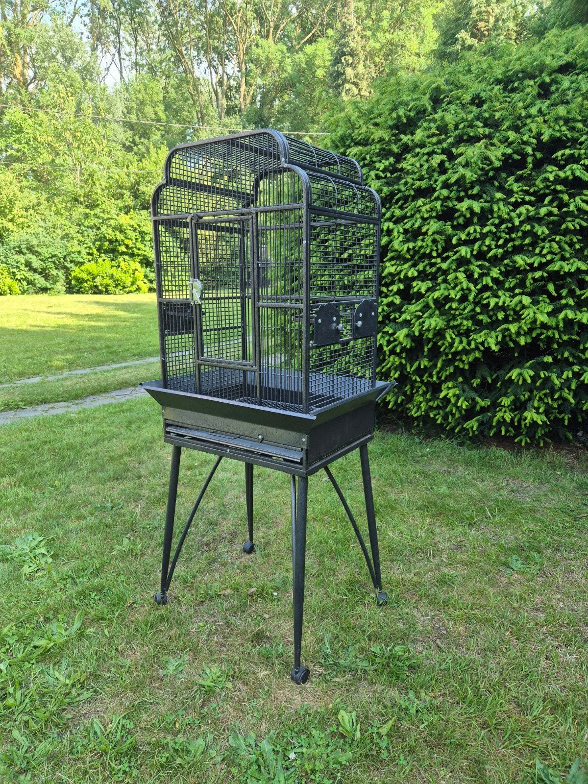 Cage à oiseaux, Enlèvement, Cage à oiseaux