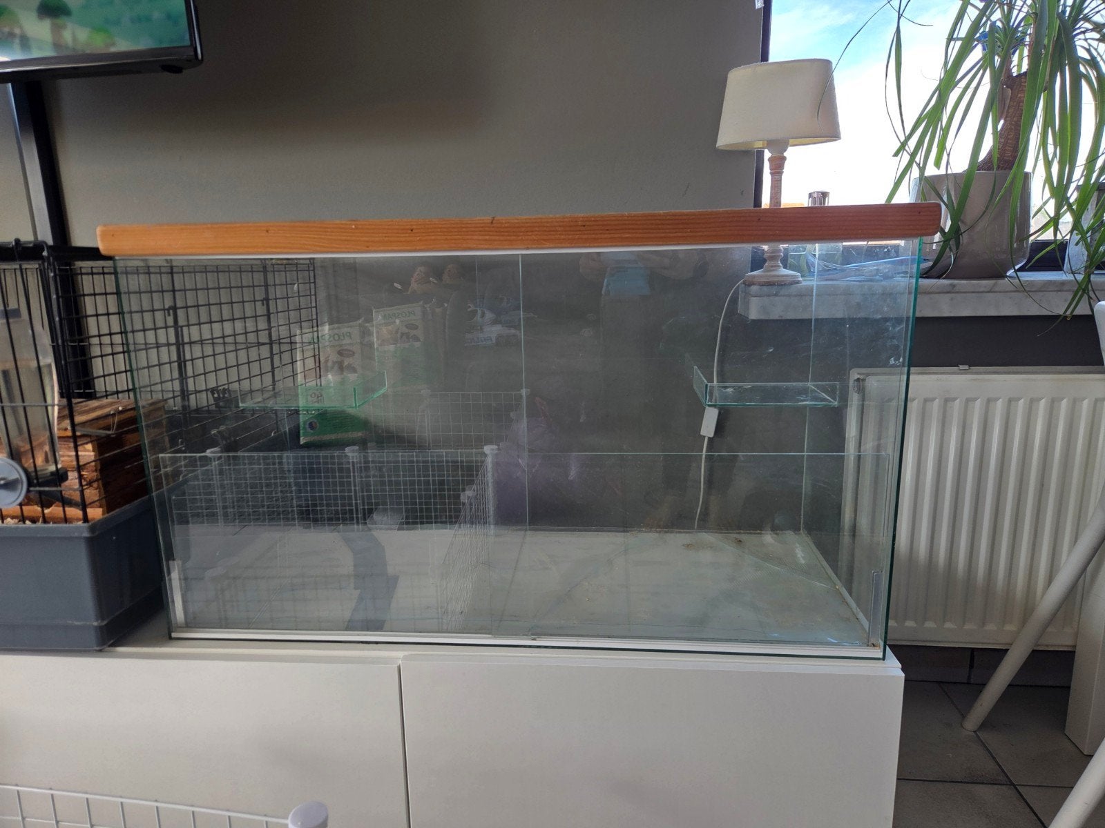 hamster terrarium, Animaux & Accessoires, Enlèvement, Utilisé, Cage, Hamster