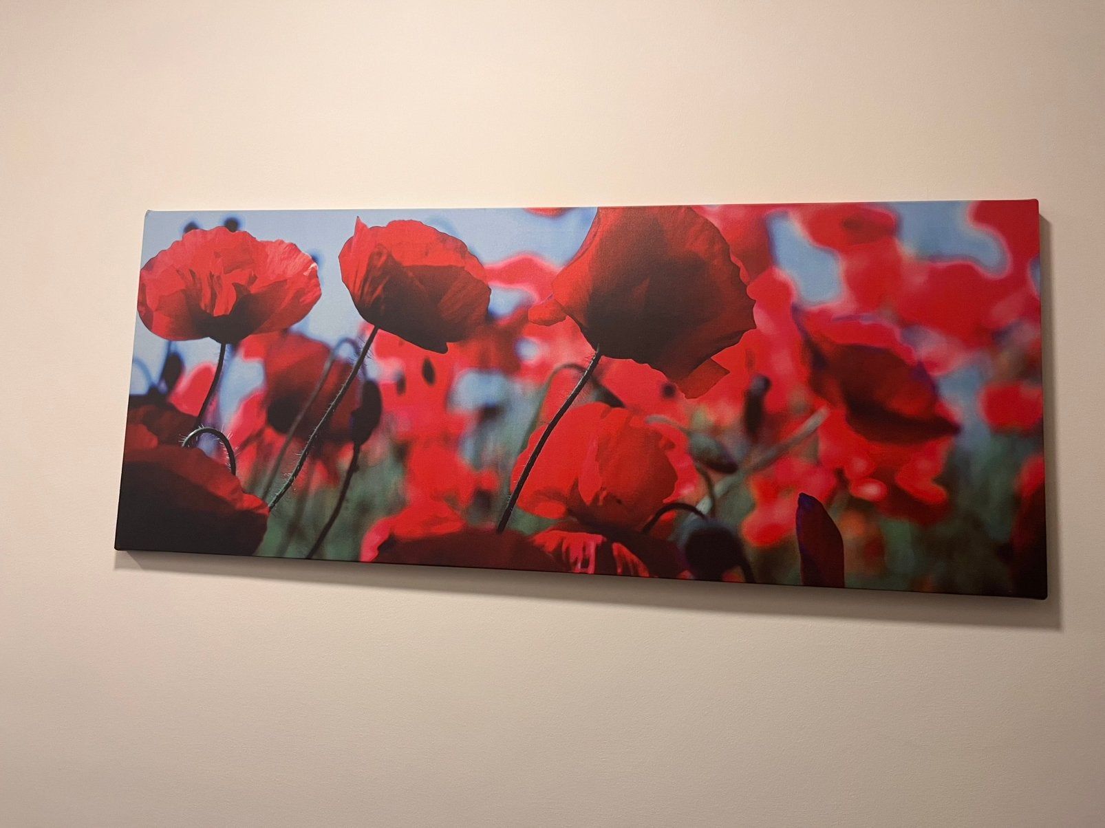 Canvas met klaprozen, Ophalen