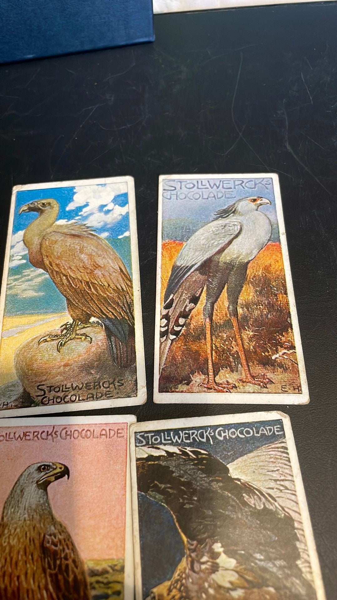 Stollwerck chromo groep 18(x3a), Verzamelen, Gebruikt, Ophalen of Verzenden, 1940 tot 1960, Dier