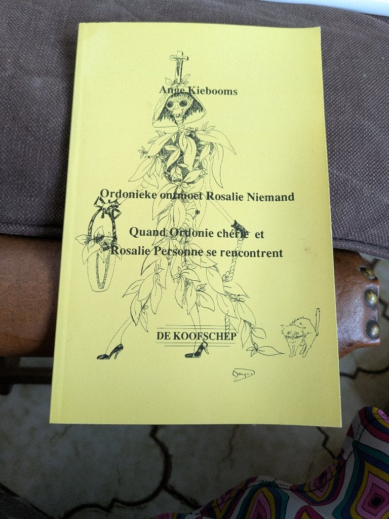 Ordonieke ontmoet Rosalie niemand, Enlèvement ou Envoi, Ange kiebooms