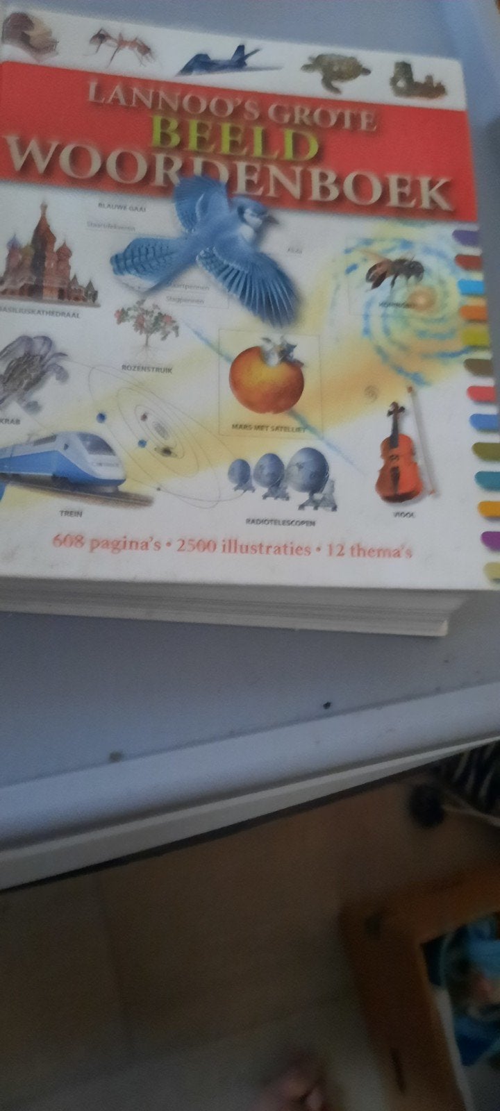 Het grote woordenboek, Boeken, Advies, Hulp en Training, Ophalen of Verzenden