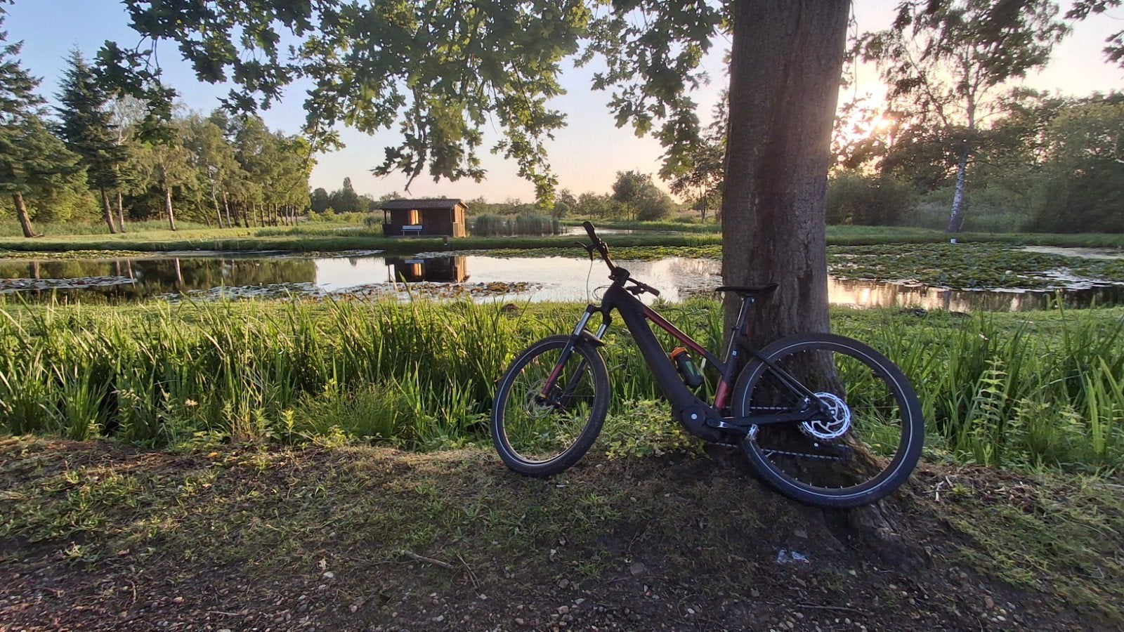 VTT Bulls E, Vélos & Vélomoteurs, Enlèvement ou Envoi