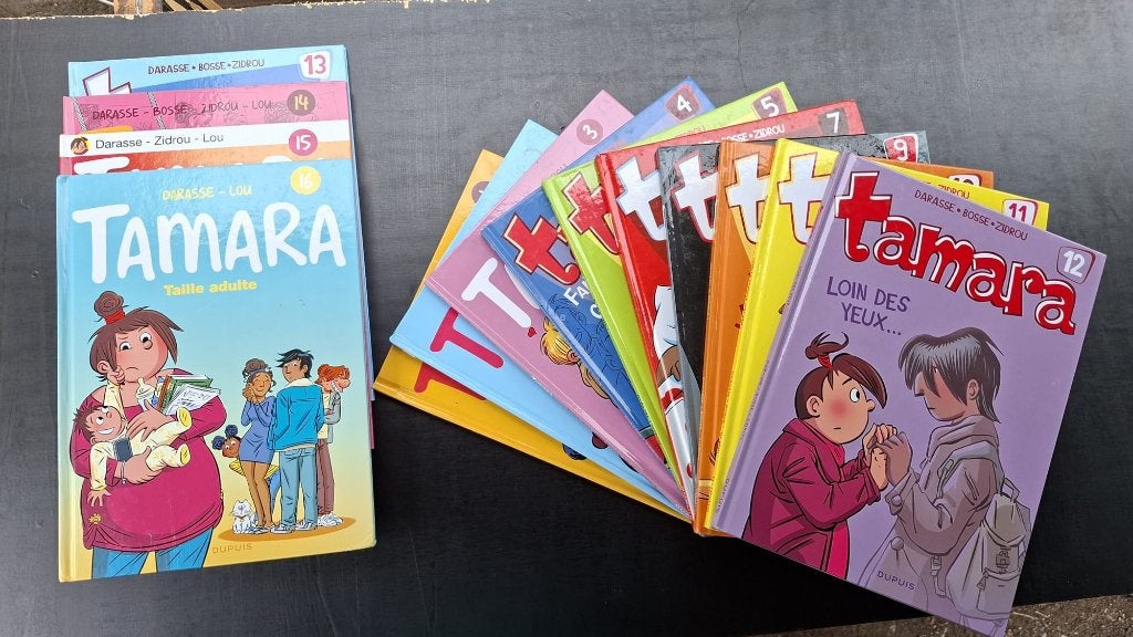 Lot de 16 BDs Tamara, Livres, Plusieurs BD, Enlèvement, Utilisé, Darasse & Zidrou