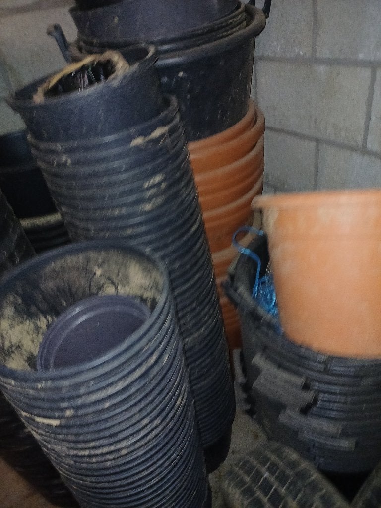 Pots de fleurs (ceinture), Jardin & Terrasse, Enlèvement, Neuf