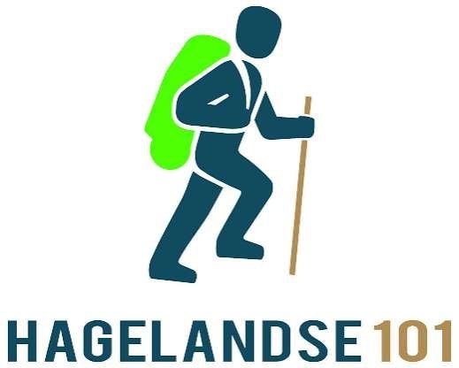 Ticket Hagelandse 101, Ophalen, Nieuw