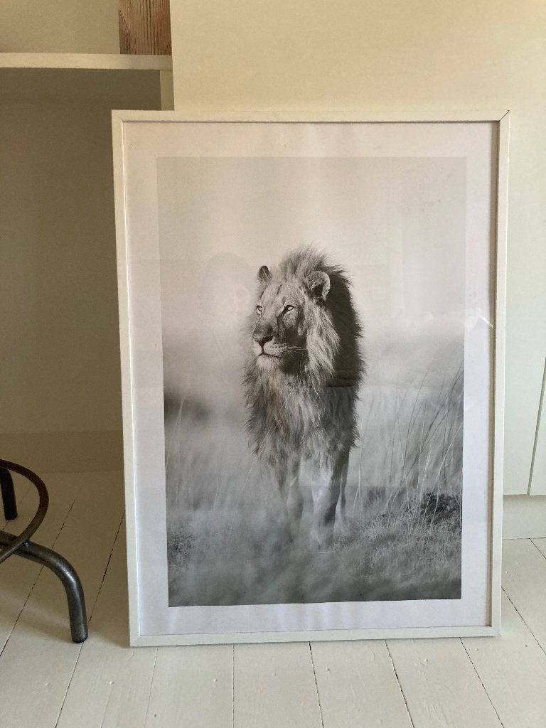 Witte houten fotokader met poster, Huis en Inrichting, Ophalen, Zo goed als nieuw, Fotolijst, Wit