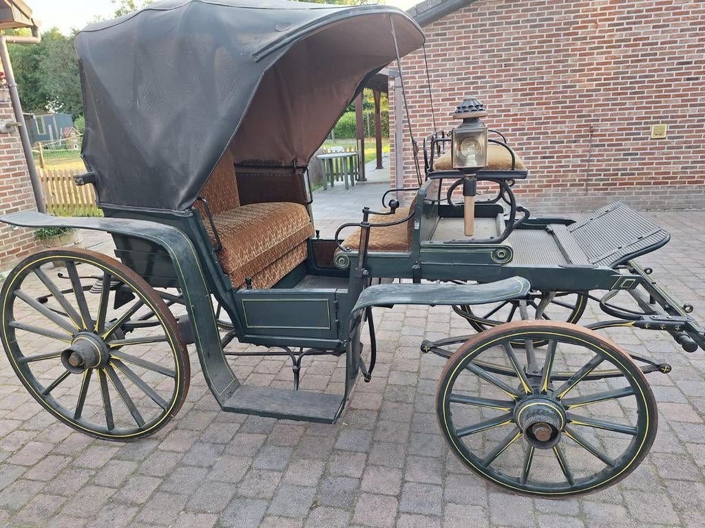 Antieke koets Duitse parkwagen, Dieren en Toebehoren