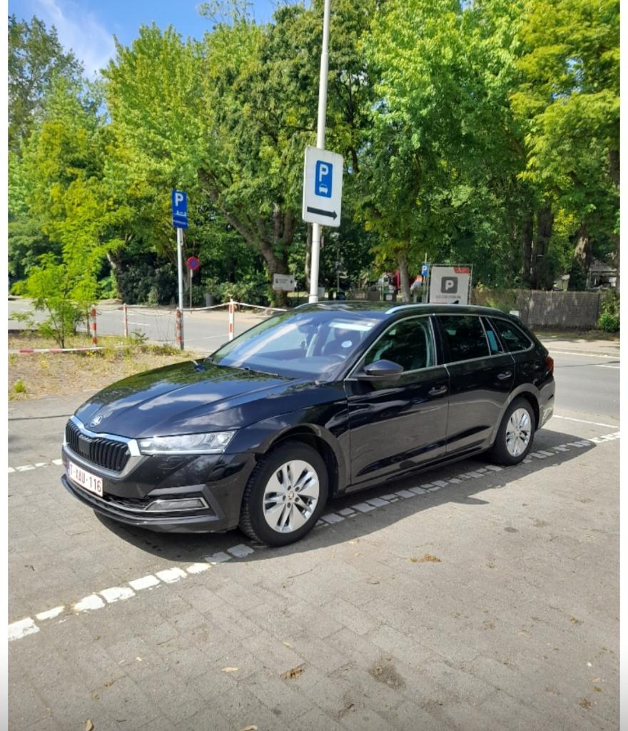 Nieuwe taxibedrijf met vlaamse vergunning, Zakelijke goederen, Exploitaties en Overnames