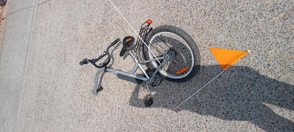 Aanhangfiets kind, Fietsen en Brommers, Ophalen, Gebruikt, Aanhangfiets, 40 tot 60 kg