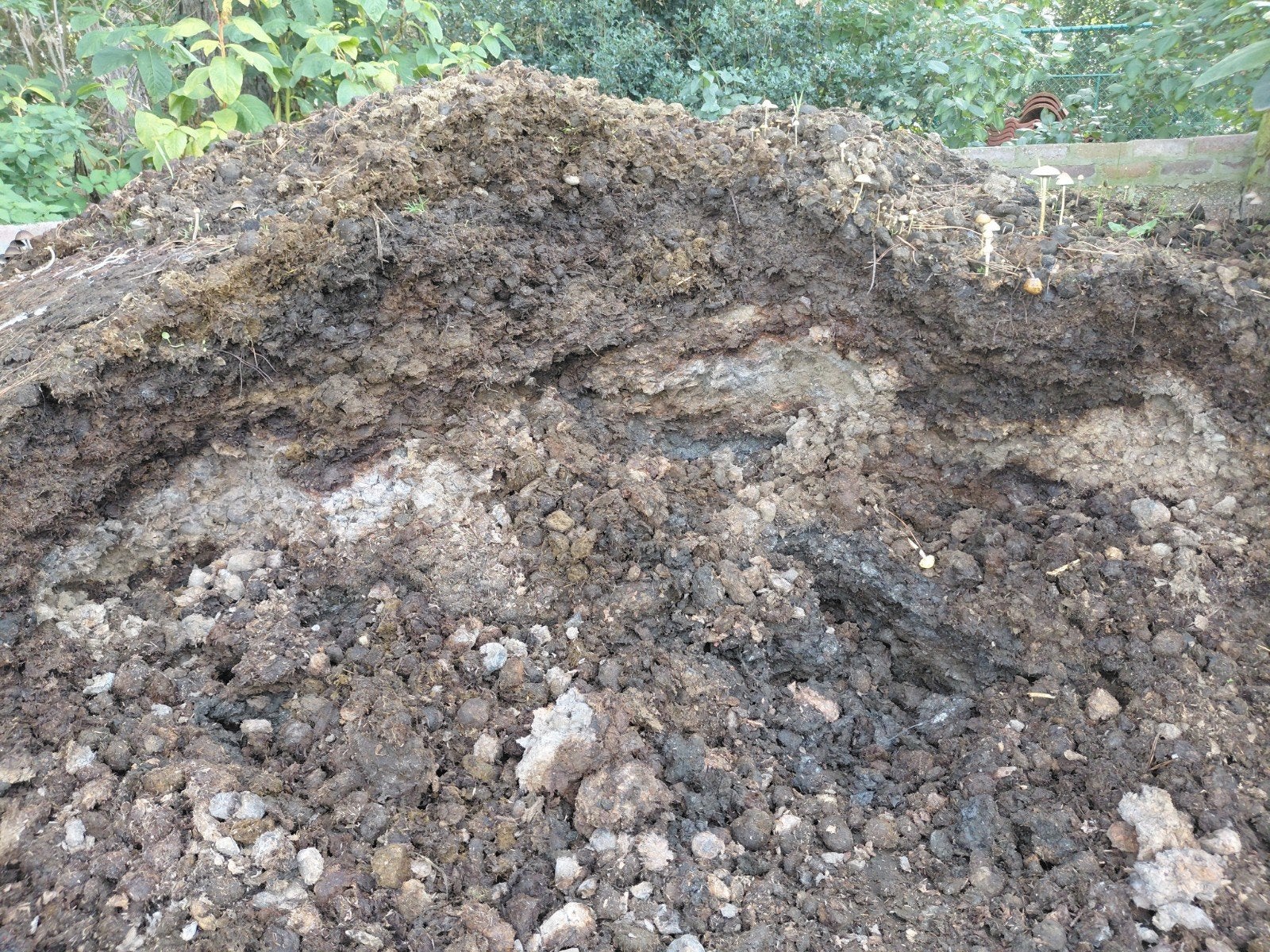 *GRATIS* Zuivere paardenmest, Tuin en Terras, Ophalen