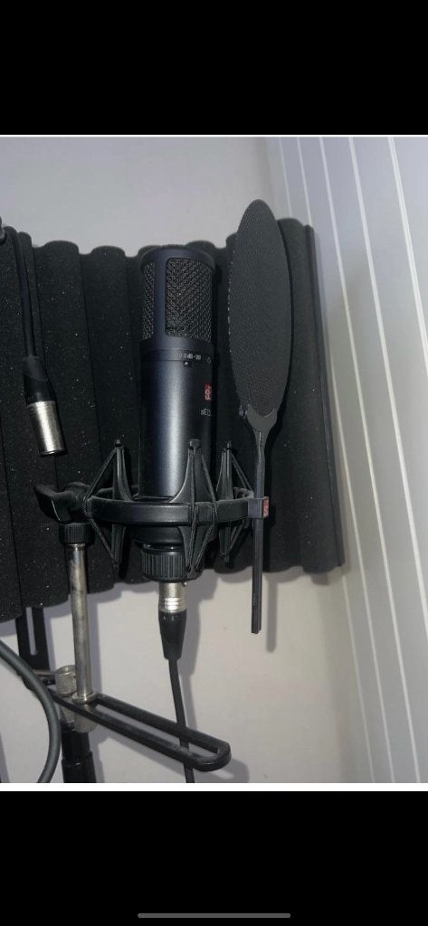 Microphone à condensateur à large diaphragme, Musique & Instruments, Microphones, Enlèvement
