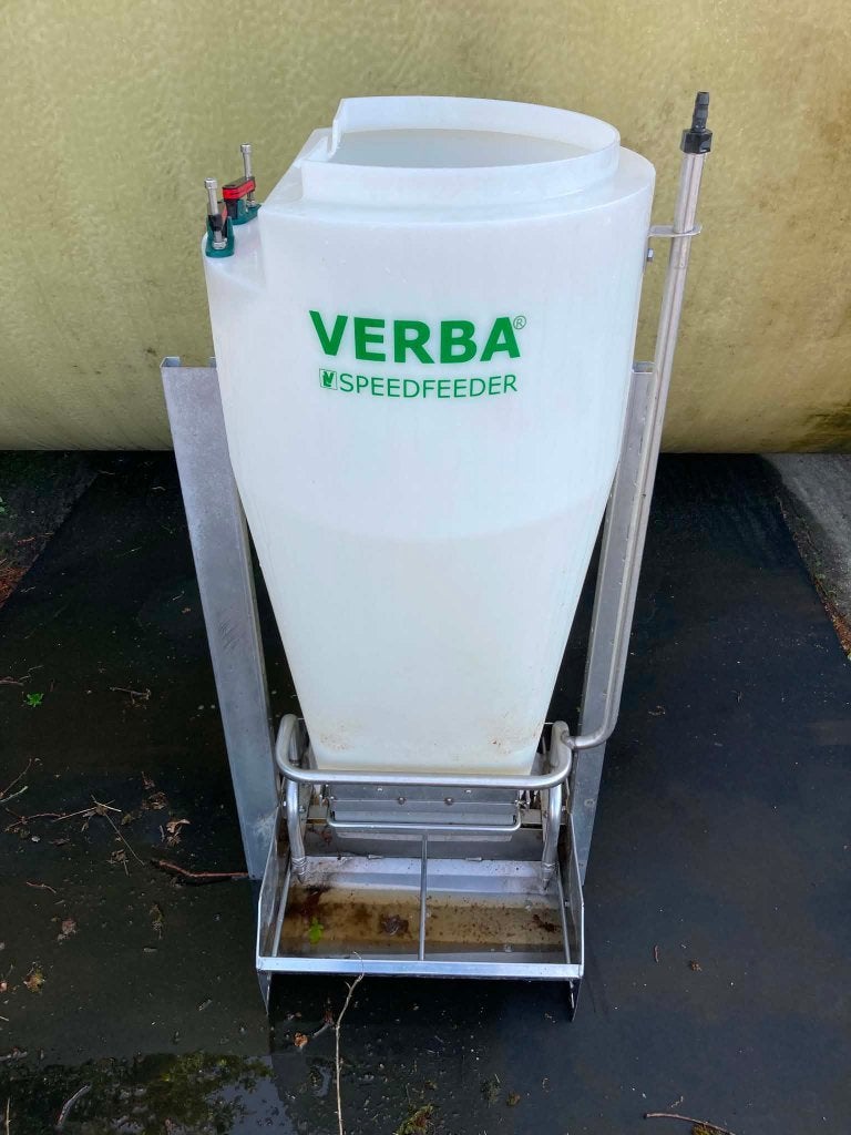 voerbak varkens