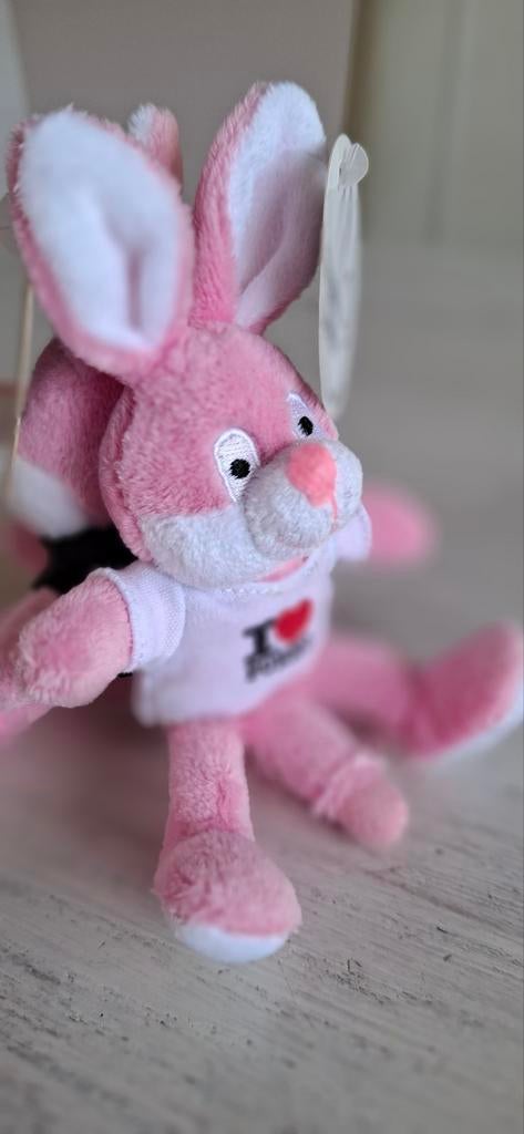 2x Naughty Bunny magneten: grappig & nieuw met label, Diversen, Ophalen of Verzenden, Nieuw