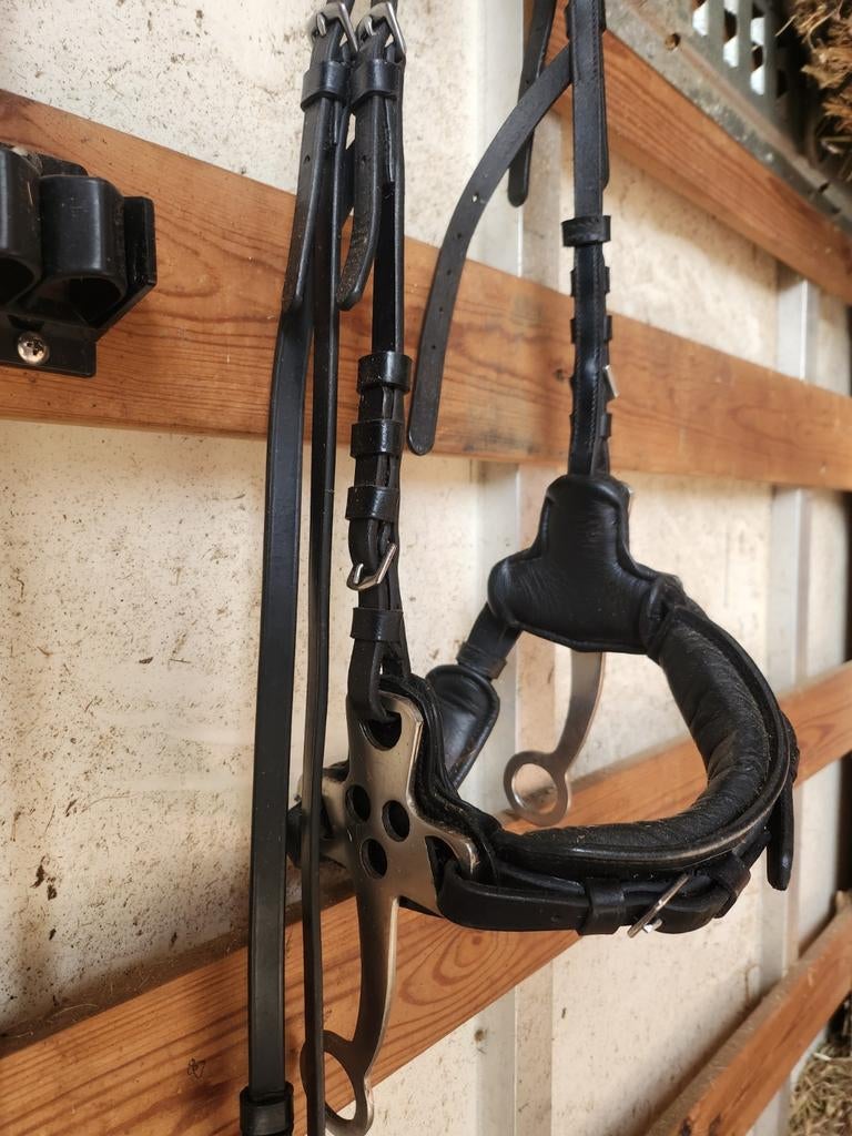 Hackamore, Dieren en Toebehoren, Ophalen