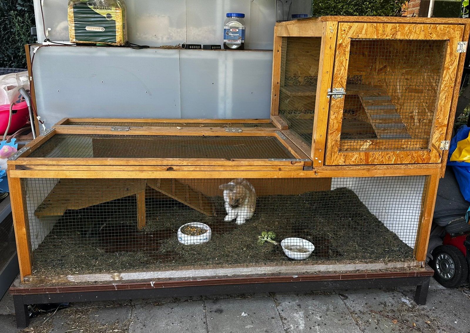 Grand enclos extérieur robuste avec lapin mâle de 2 ans, Animaux & Accessoires, Enlèvement, Comme neuf, Enclos, Lapin