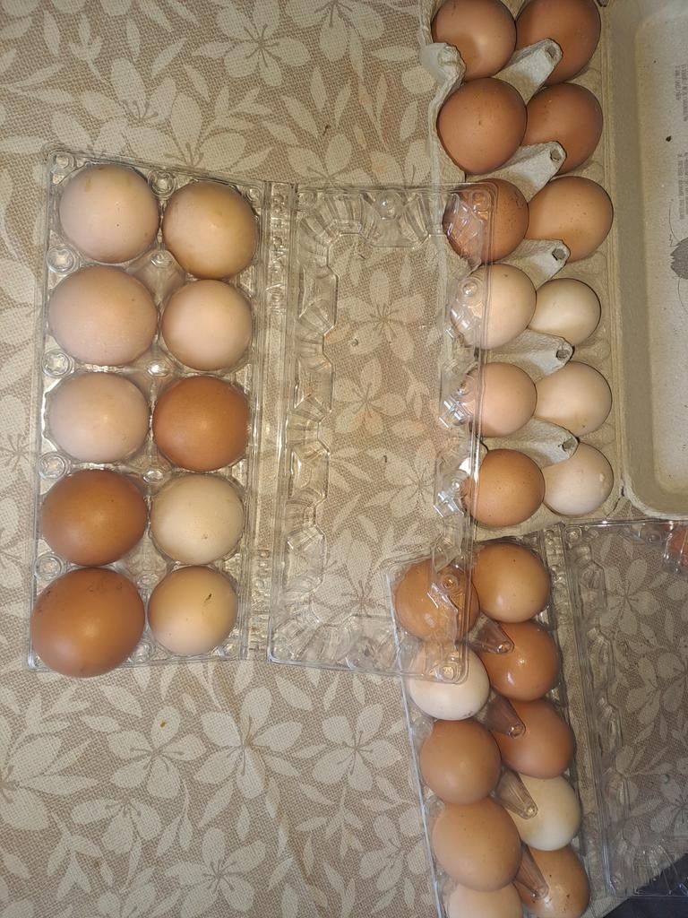 Eieren te koop, Ophalen