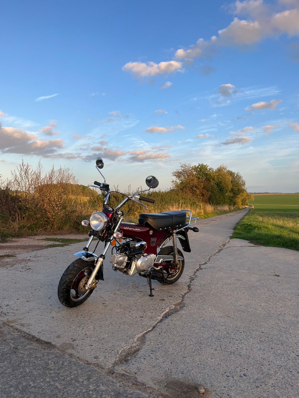 Dax 50cc, 4 vitesses, 49 cm³, Comme neuf, Classe B (45 km/h)