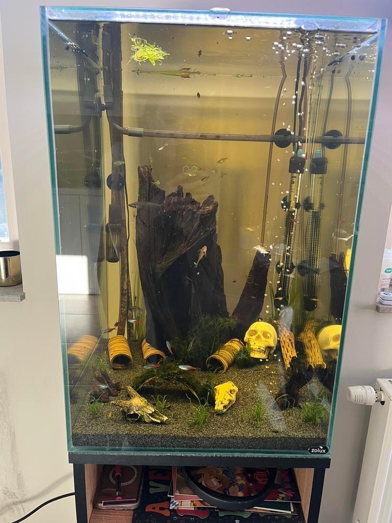 Nieuw Aquarium met kast 2 maand oud!, Dieren en Toebehoren, Vissen | Aquaria en Toebehoren, Ophalen, Nieuw
