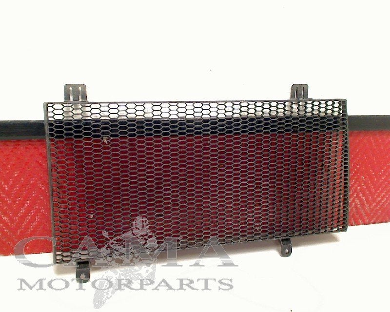 RADIATEURROOSTER F 800 GS 2008-2012 (F800GS 08) (7698571), Dhr. S. di Majo, Gebruikt, Info@cama-motorparts.nl, P.J. Troelstraweg 8 8
3144 CX  MAASSLUIS, NL