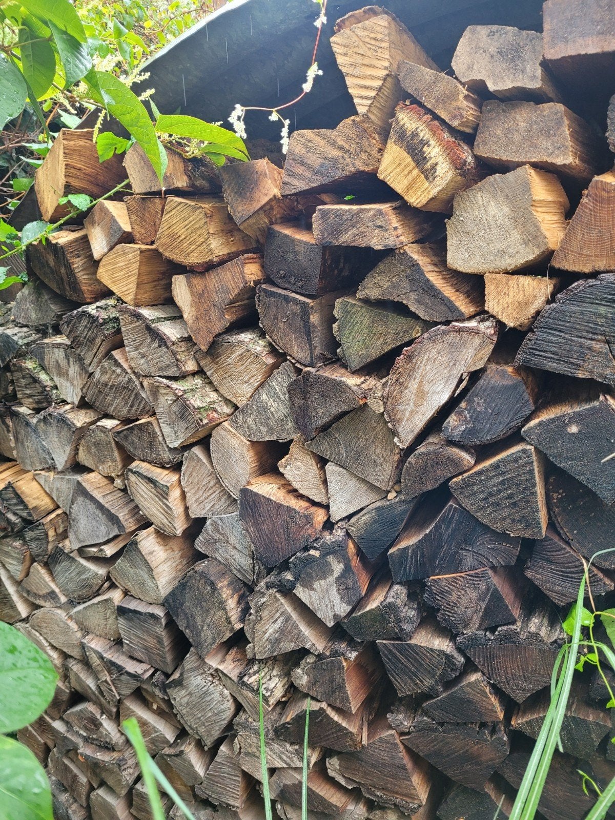 droog brandhout, Ophalen