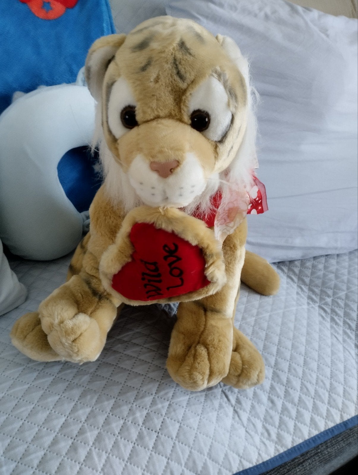 lion en peluche, Enlèvement, Lion