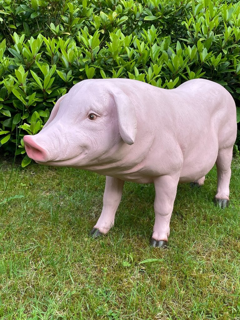 (Tuin)Beeld varken, tuin, gazon, manege, boerderij 100cm, Ophalen, Nieuw, Kunststof, Dierenbeeld