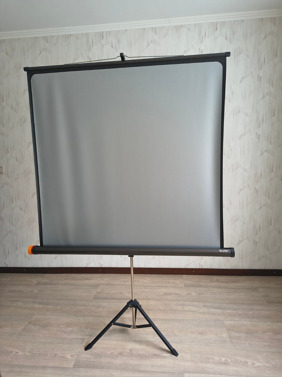 scherm voor beamer of diaprojector, Ophalen