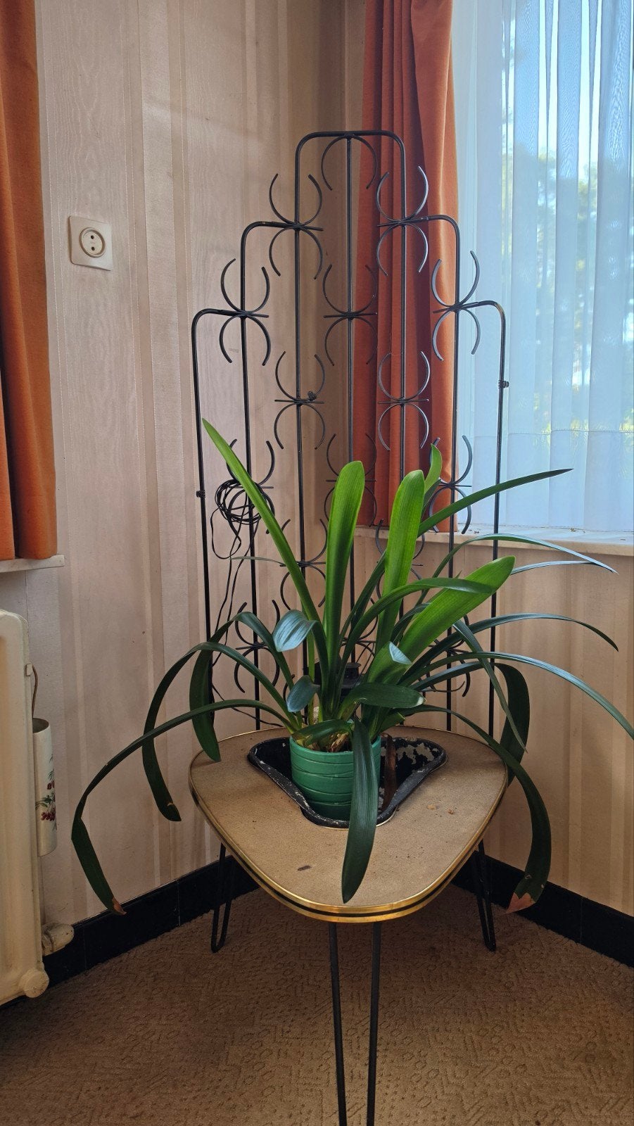 vintage plantenbak, Ophalen