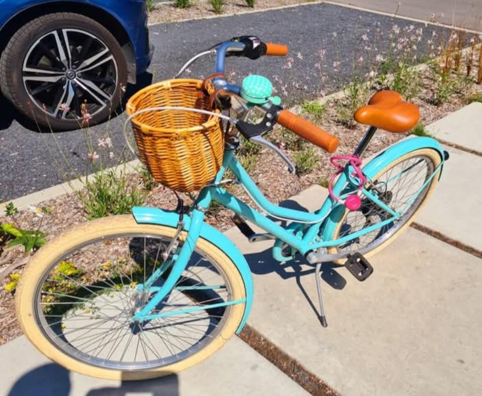 Vélo fille, Enlèvement