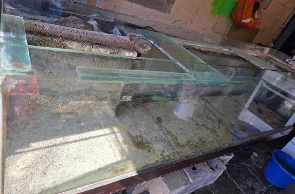 aquarium, Enlèvement