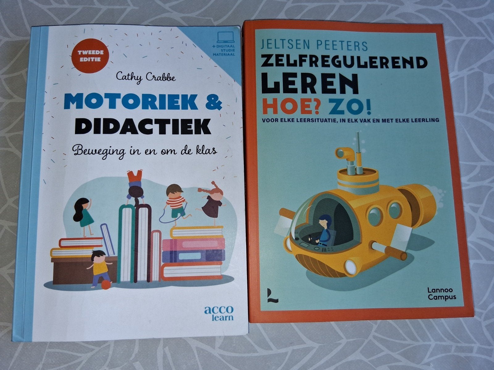 Studieboeken 2de bachelor lager onderwijs Vives Kortrijk, Boeken, Ophalen of Verzenden