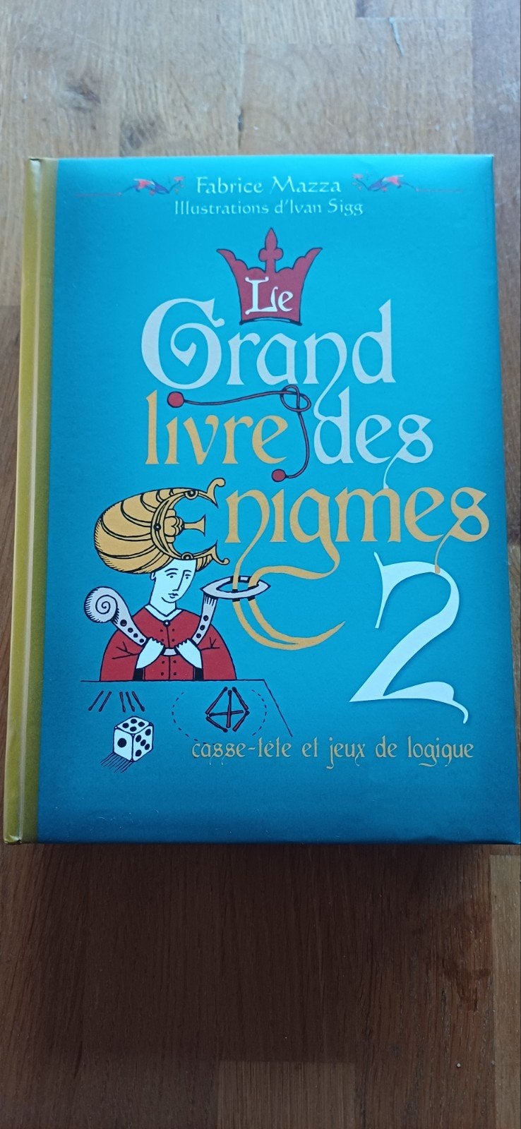 le grand livre des énigmes, Ophalen, Zo goed als nieuw, Overige onderwerpen
