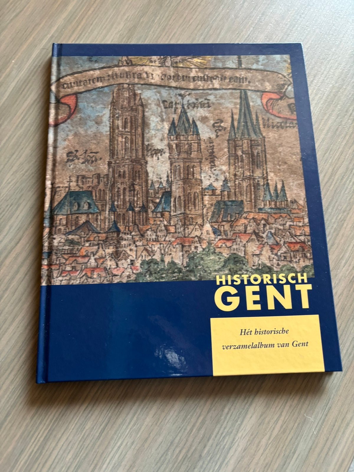 Boek hystorisch Gent, Boeken, Kunst en Cultuur | Architectuur, Ophalen of Verzenden, Nieuw, Architectuur algemeen