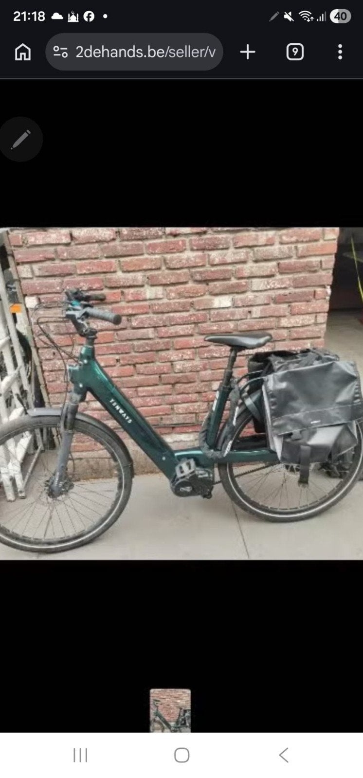 electric fiets, Fietsen en Brommers, Ophalen