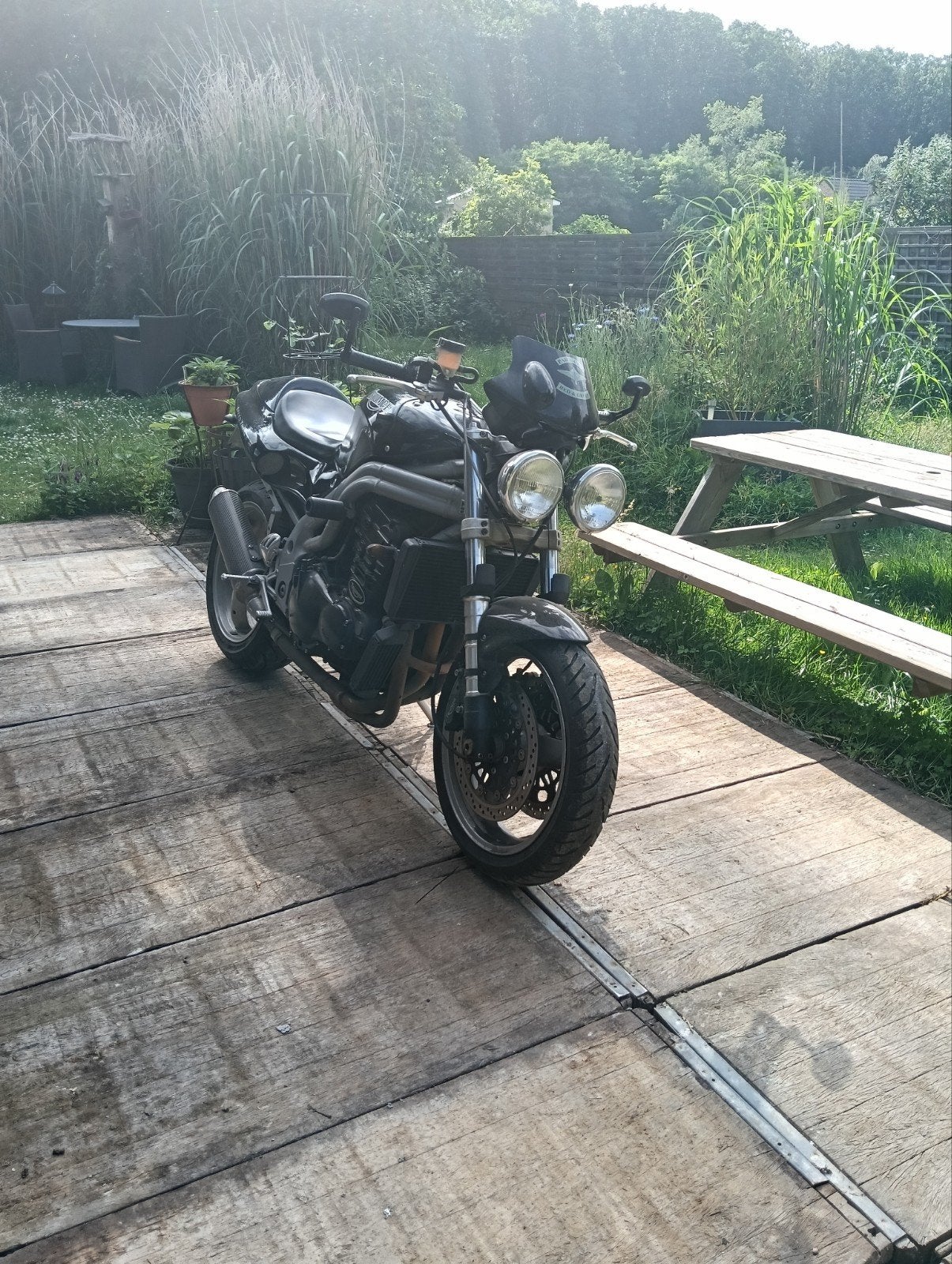 Triumph Speed triple 955i
