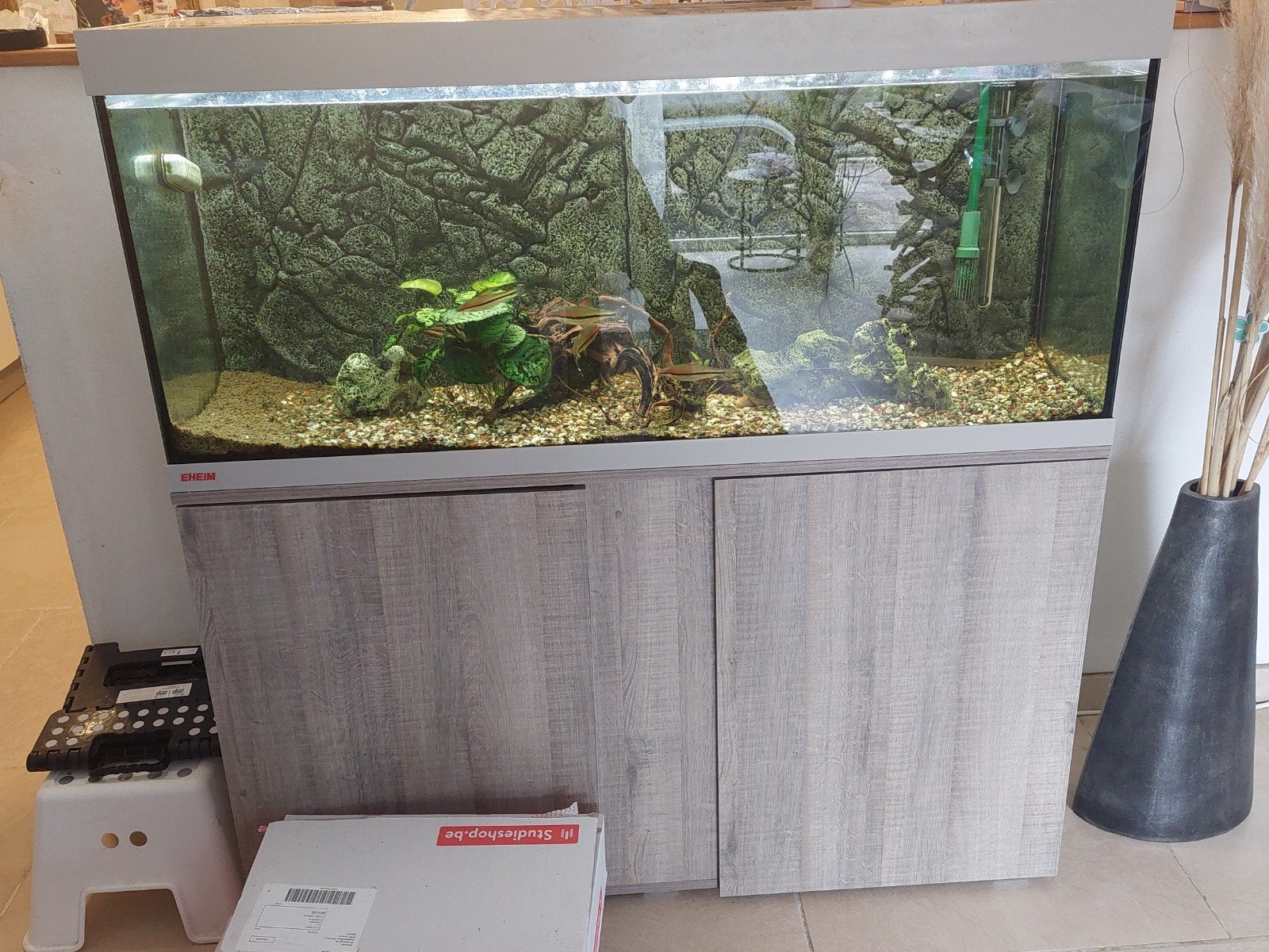 aquarium 1 jaar oud, Dieren en Toebehoren, Ophalen, Gebruikt