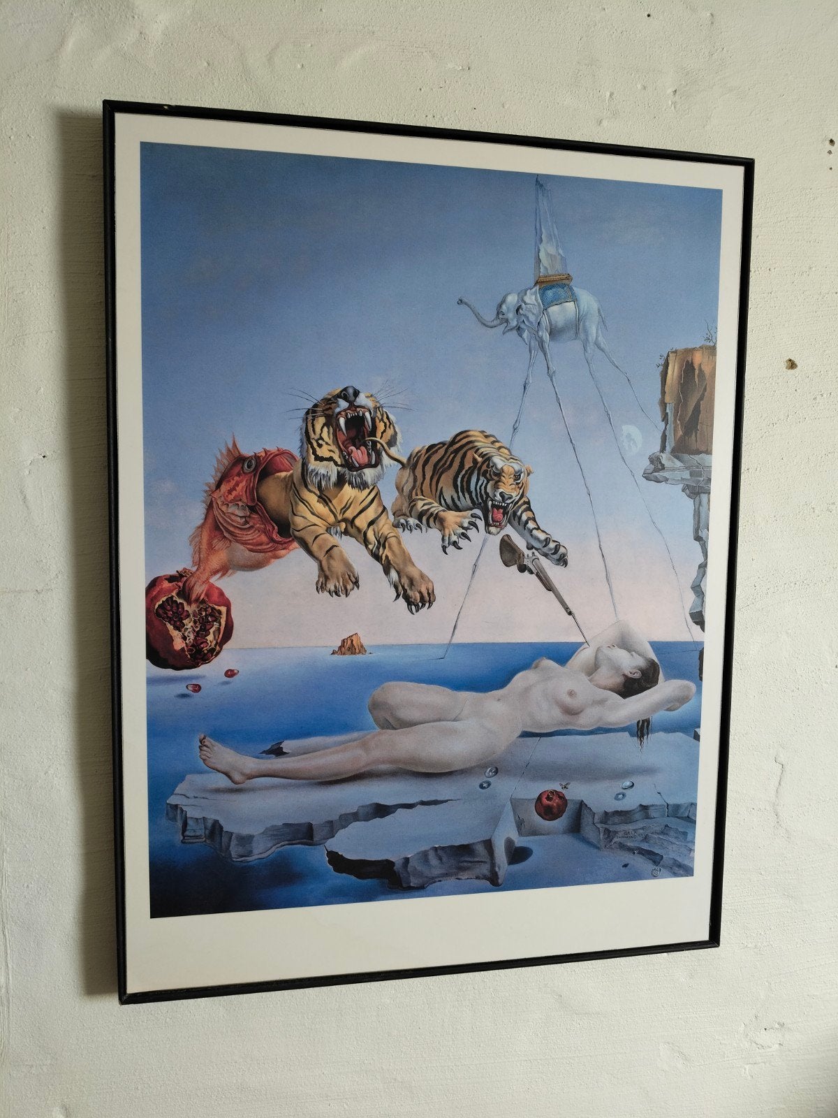 Ingelijste posterdruk Salvador Dalí 62x83cm, Ophalen, Papier