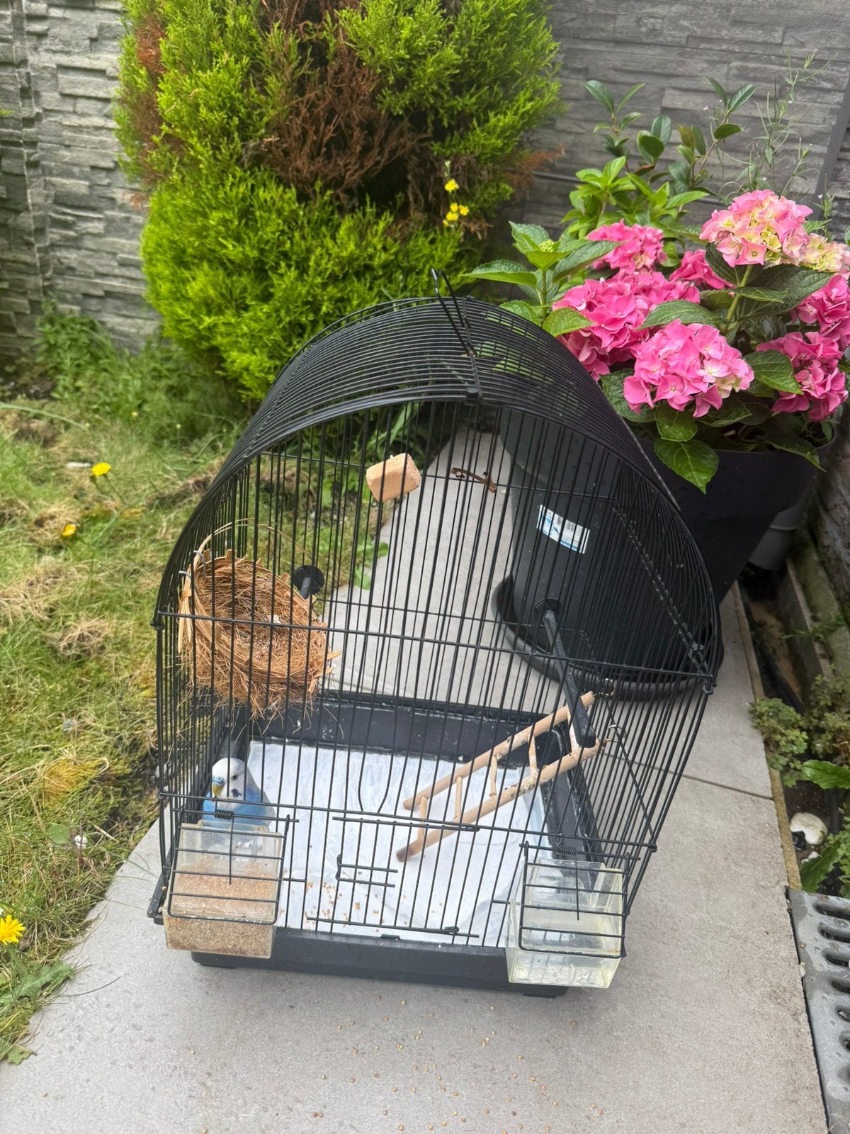 Vogelkooi, Enlèvement ou Envoi, Comme neuf, Cage à oiseaux