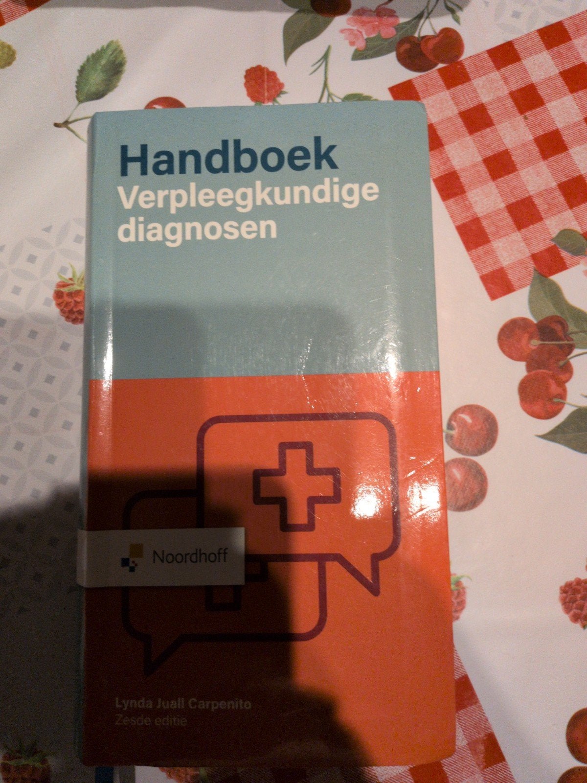 Lynda Juall Carpenito - Handboek Verpleegkundige diagnosen, Boeken, Ophalen, Lynda Juall Carpenito
