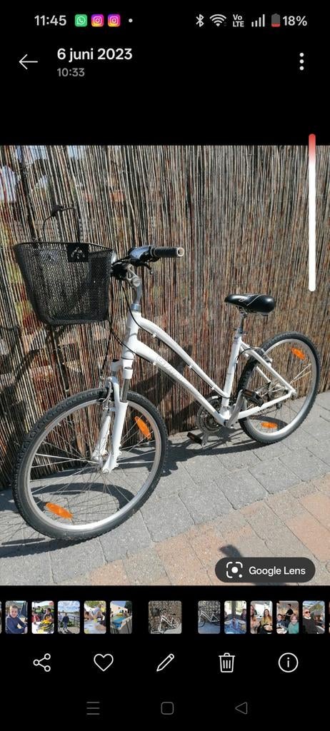 Damesfiets Giant., Ophalen, Giant