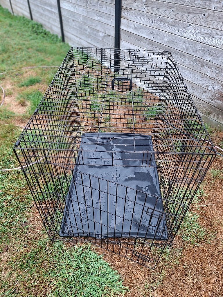 Grote bench xxl, Dieren en Toebehoren, Ophalen, Gebruikt