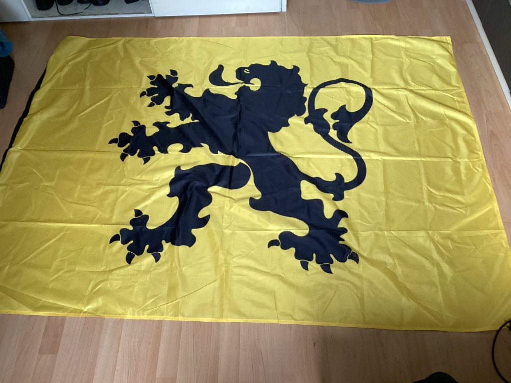 Vlaamse Leeuwenvlag (zwart geklauwd) en Prinsenvlag (€5), Enlèvement ou Envoi, Neuf