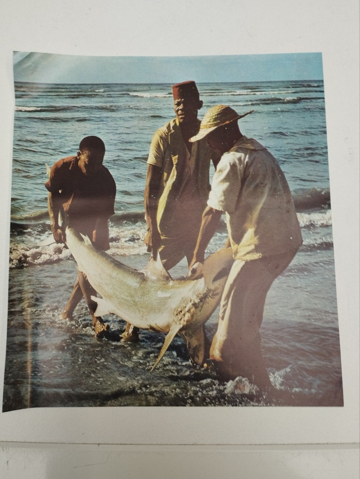 Een prent over 3 mannen die een grote vis in water steken, Ophalen, Prent