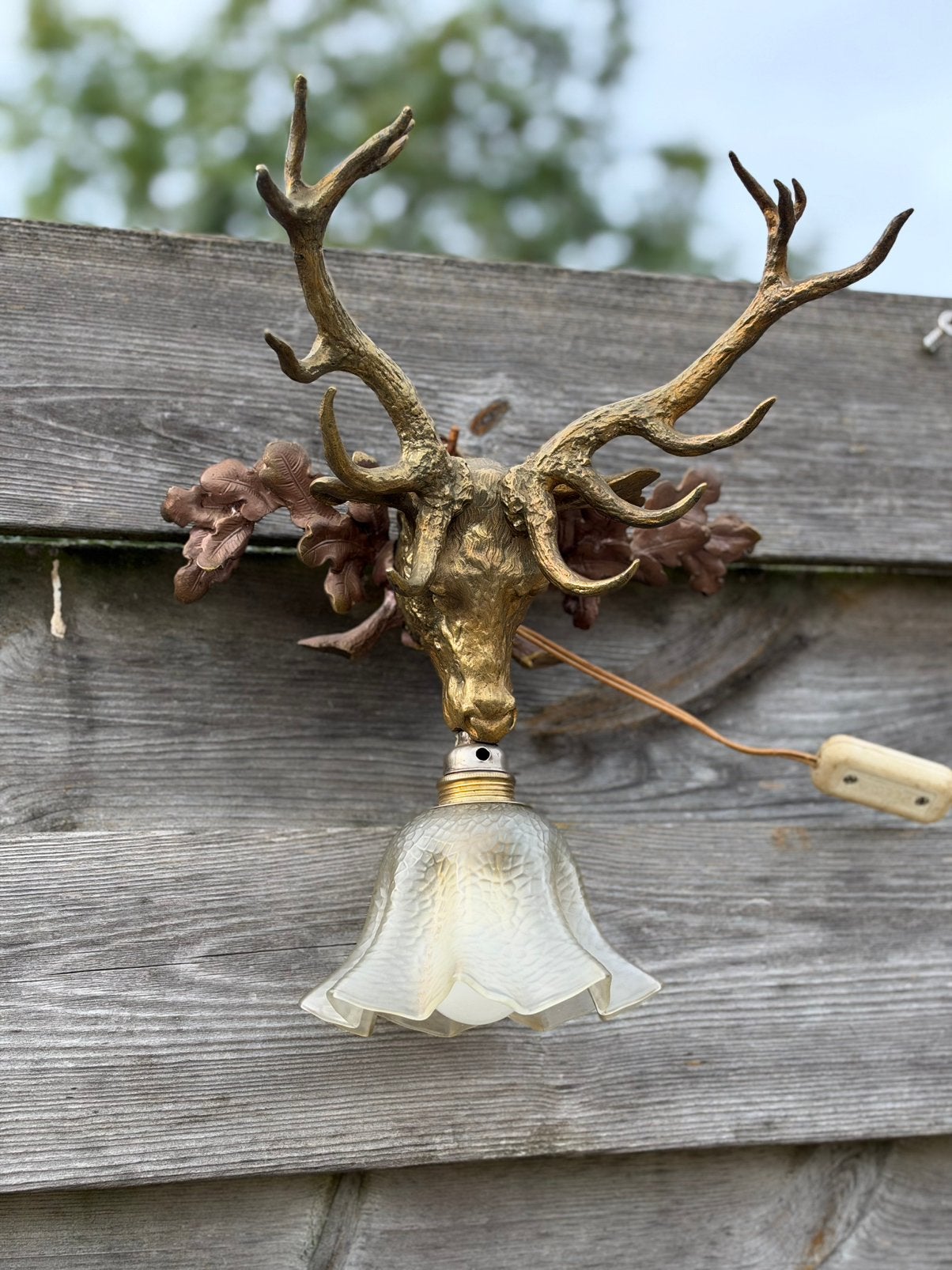 Zeer oude herten lamp, Enlèvement