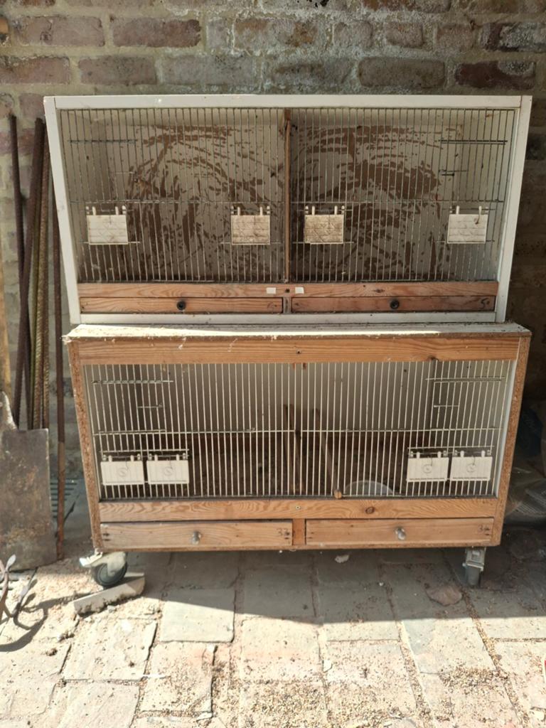 Kweekkooien te koop, Dieren en Toebehoren, Vogels | Hokken en Kooien, Ophalen