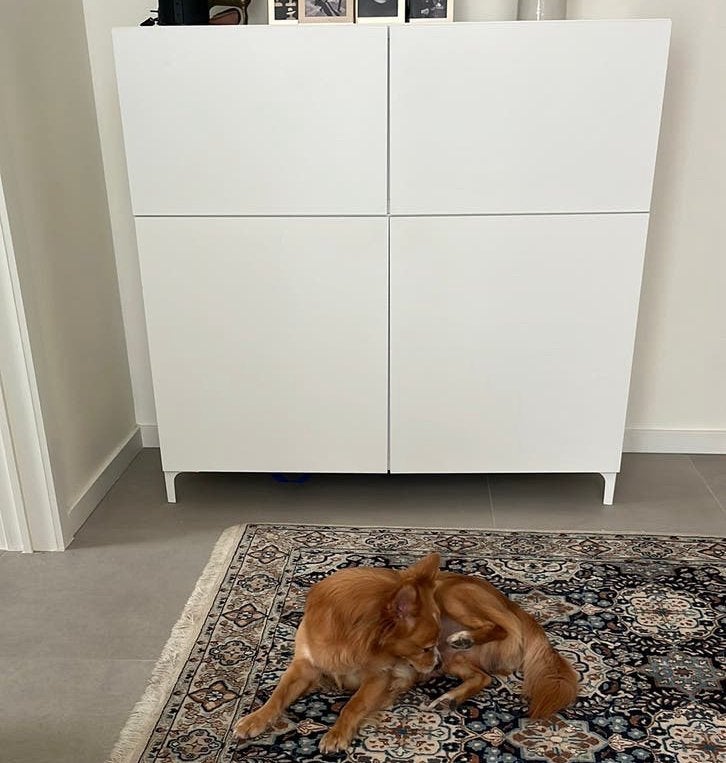 Ikea kast, Ophalen, Gebruikt, Wit, Rechthoekig